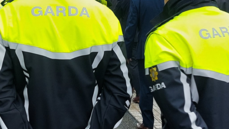 Gardaí seek witnesses to theft of tools from van in Carlow housing estate