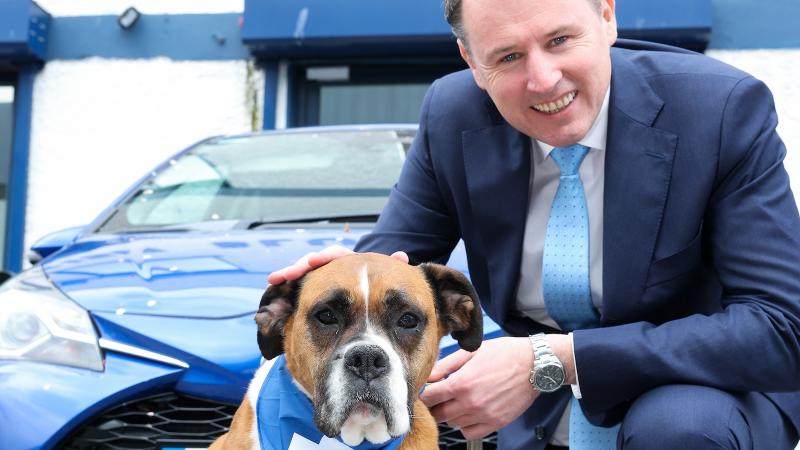 McConalogue to ban the use of remotely controlled electronic shock collars