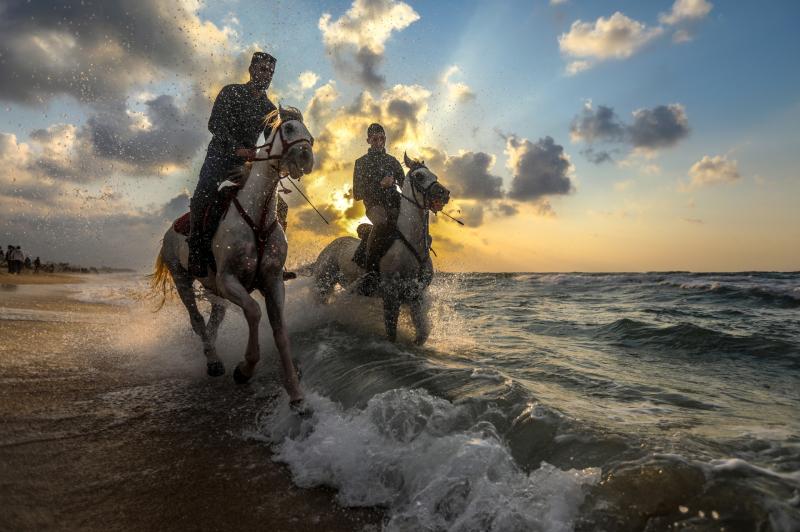 Kilkenny and Gaza connected through recent exhibition in Callan