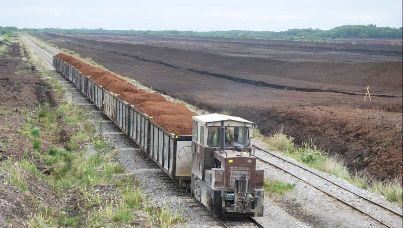 Unused Portlaoise cutaway bogs 'greatest gem we have' for visitors