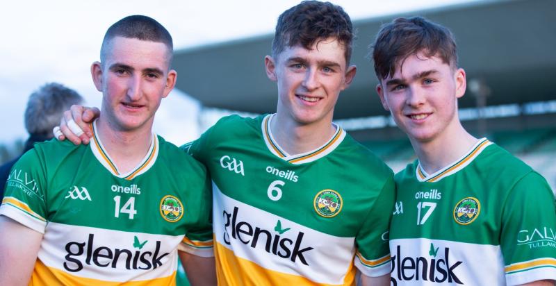 Kilkenny left reeling as heroic Offaly dig deep to return to provincial decider