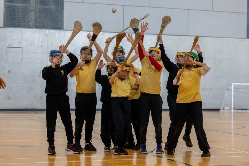 MIC free summer courses for teachers include a new collaboration with the GAA