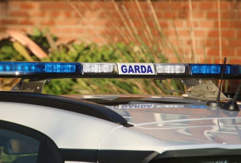 Children rip copper from Limerick home