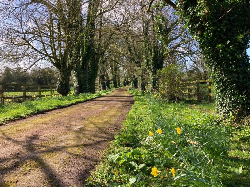 Tipperary Tipperary Tipperary 