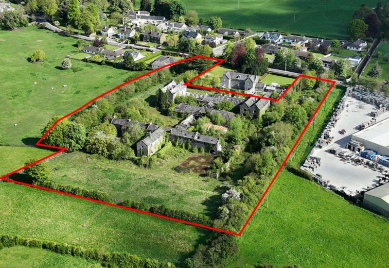 Historic building on large site in Offaly is now on the market