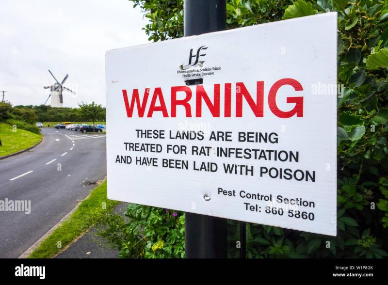 "Horrendous" rat infestation reported in this Laois town