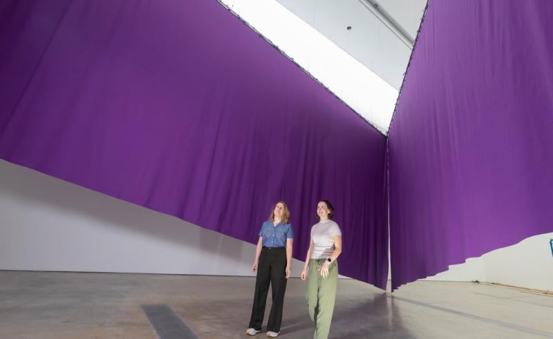 World renowned artist to launch art exhibition in Carlow's Visual Theatre 