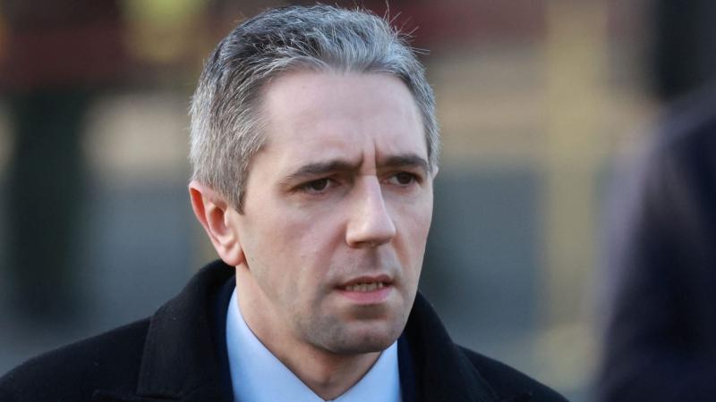 Probe after protesters push Harris and hit member of Garda in Co Mayo