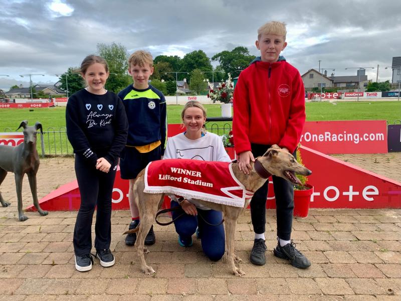 Greyhounds: Brilliance from Blaze in Track Bookmakers Final at Lifford