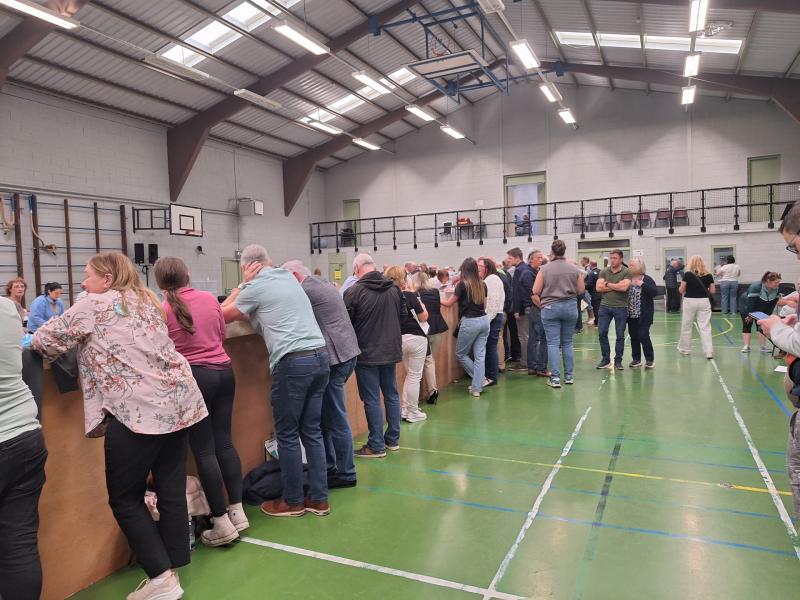 Who is likely to get elected in Offaly as the local election counts take shape?