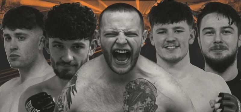 Get ready for Quarrel in the Quarry! - Kilkenny Live 