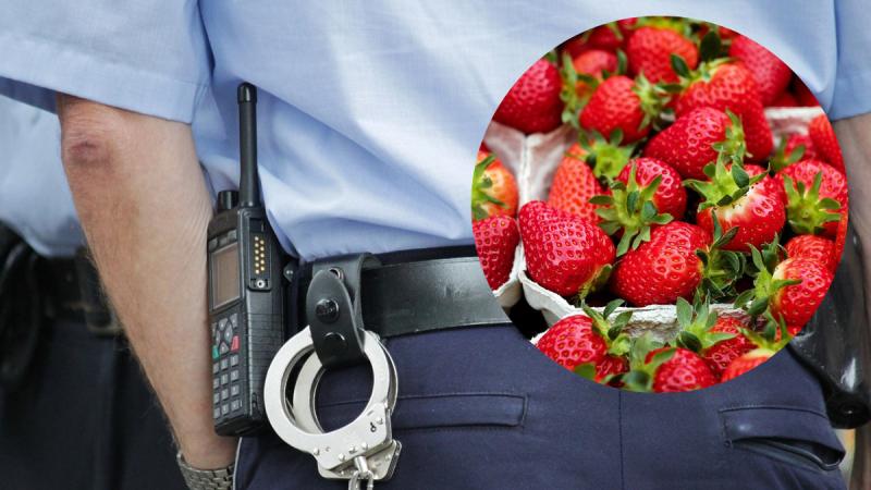 Waterford strawberry seller robbed by two teenage boys in daylight heist