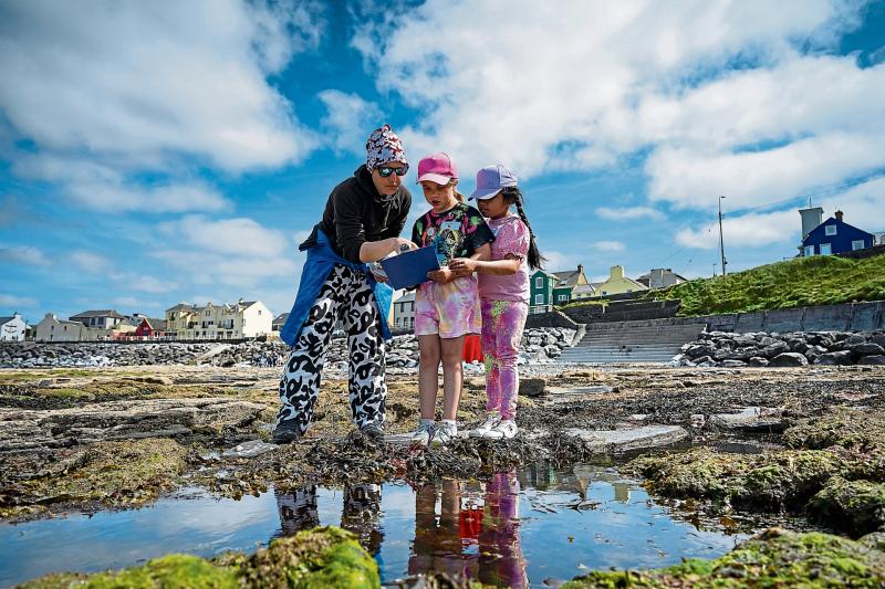 Pupils enjoy eco field trip to Lahinch for beach exploration workshop