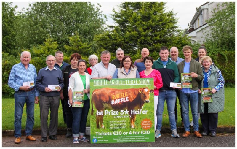 'If you&rsquo;re not in you can&rsquo;t win' - '5 star' Limousin heifer up for grabs in Mohill Show raffle