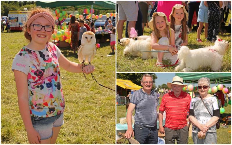 Stepping back in time! Longford looks forward to return of Ballinamuck Olde Fair Day