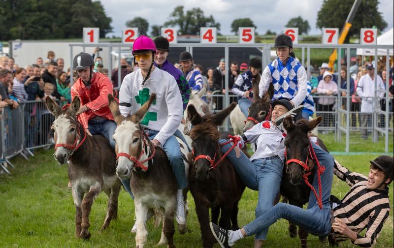Traffic management measures planned for road close to Clonmel Agricultural Show on Sunday  