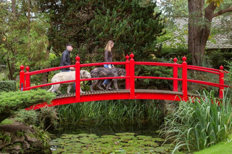 The Irish National Stud and Gardens receives global award 