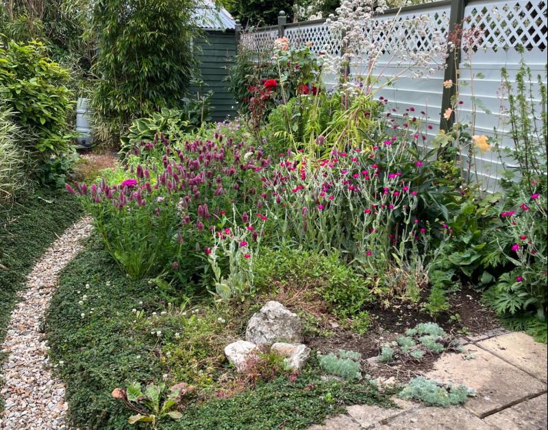 Dundalk couple are once again opening their beautiful garden to the public for charity