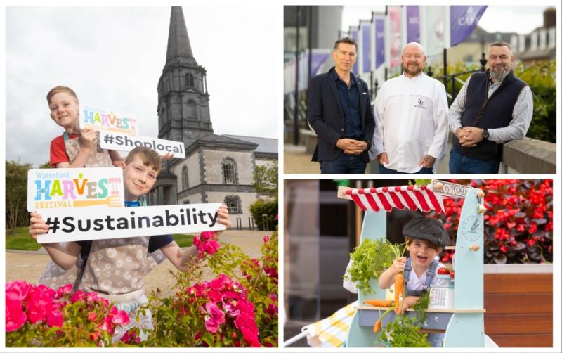 Full steam ahead as Waterford's Harvest Festival returns for 15th year 