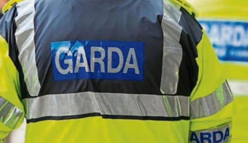 Kildare garda&iacute; investigating suspected criminal damage by fire incident in Derrinturn