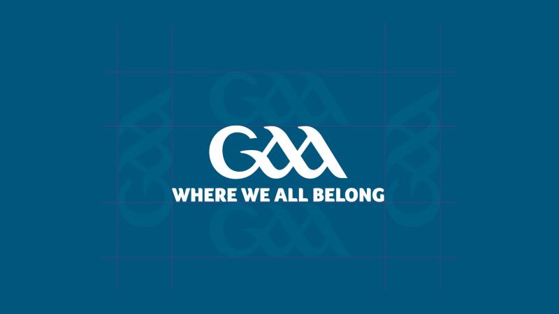 Kilkenny GAA club to celebrate milestone birthday 