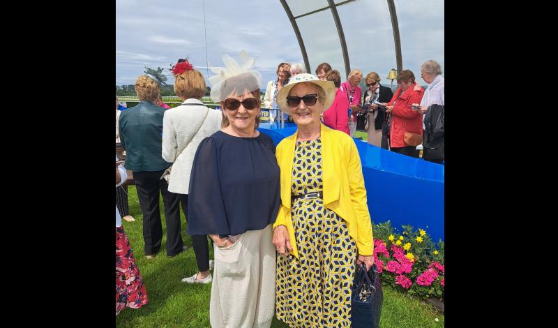 Local Tipperary women attend Tipperary Races with social club