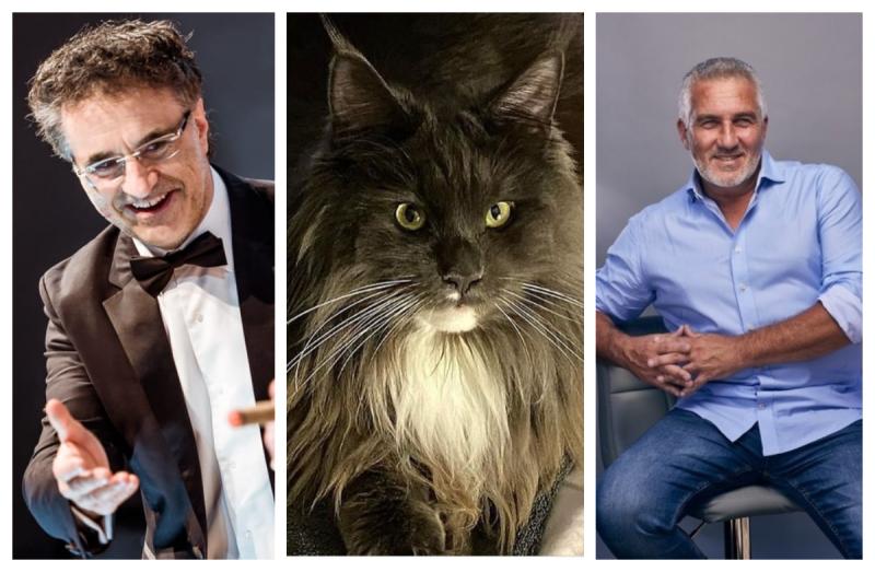 Bakeoff's Paul Hollywood thanks Laois Supervet for saving cat’s life 