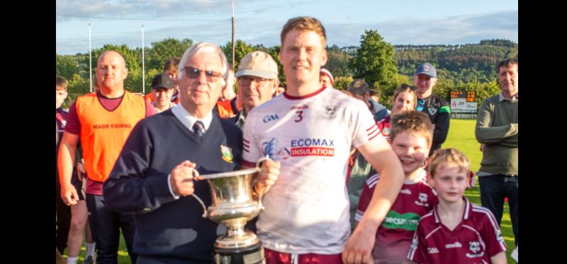 Dylan Walsh provides the spark for Ballingarry’s win in South Tipperary Intermediate Hurling final 