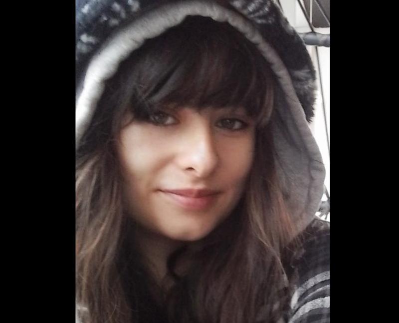 Search intensifies for teen last seen in June and may be in Limerick