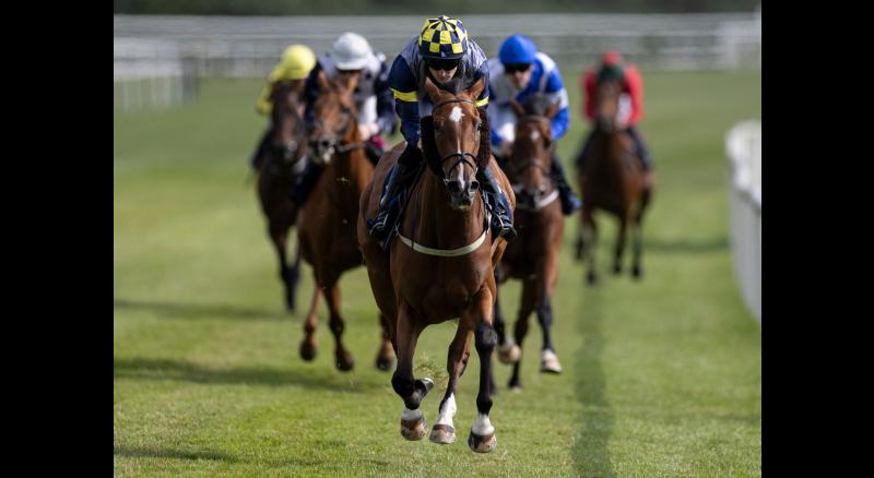 Tipperary trainer Billy Lee reaches the 50-winner mark for the season in Killarney 