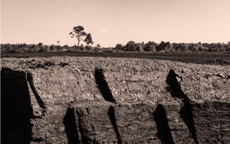 Laois retired businessman to hold bog photographic exhibition in Abbeyleix