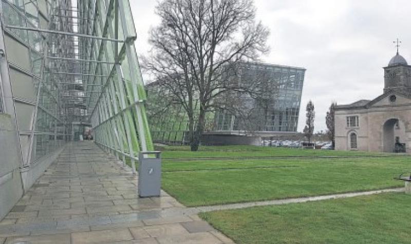 Council has 'no budget' to install footpath in Kildare-Newbridge MD