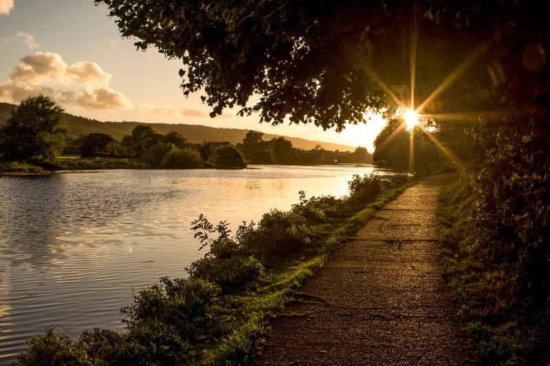 Guided tour walk of River Suir towpath in Carrick-on-Suir is planned 