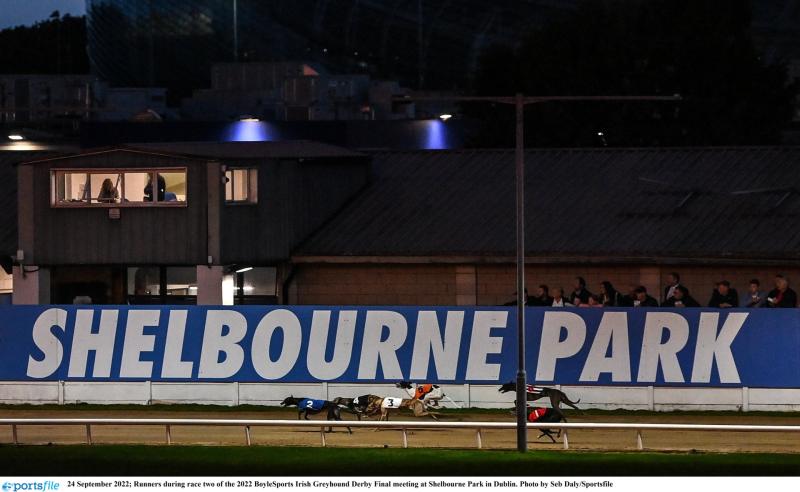 Gone to the dogs: Ten Offaly winners