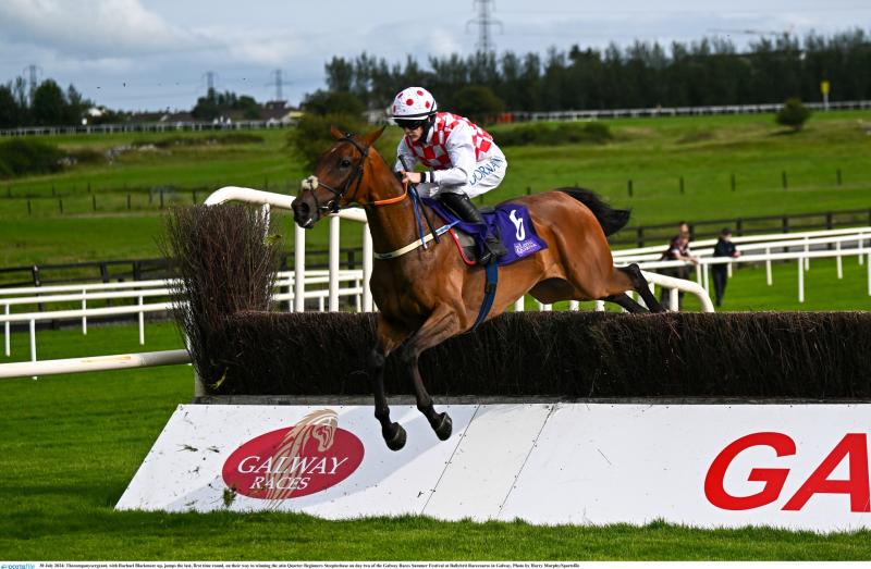 Shark Watch at the Galway Races as Rachael Blackmore rides again for glory 