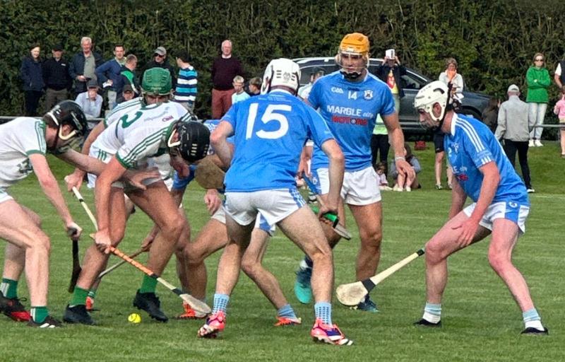 Graigue Ballycallan give Shamrocks Ballyhale 'the blues' - Kilkenny Live 