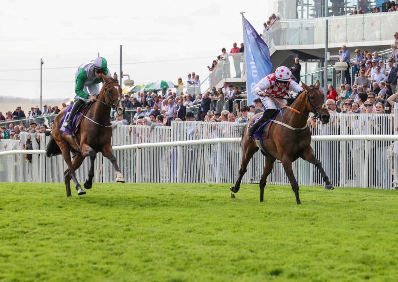 Tipperary winners galore at bumper Galway racing festival 