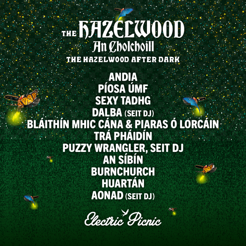 New: Electric Picnic releases lineup for Hazel Wood