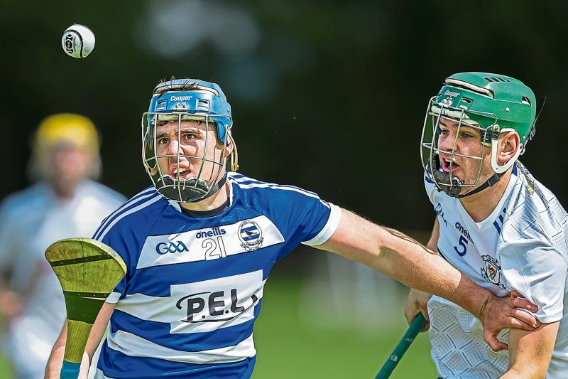 Lisdowney book spot in Leinster Intermediate Semi-Final - Kilkenny People Sport