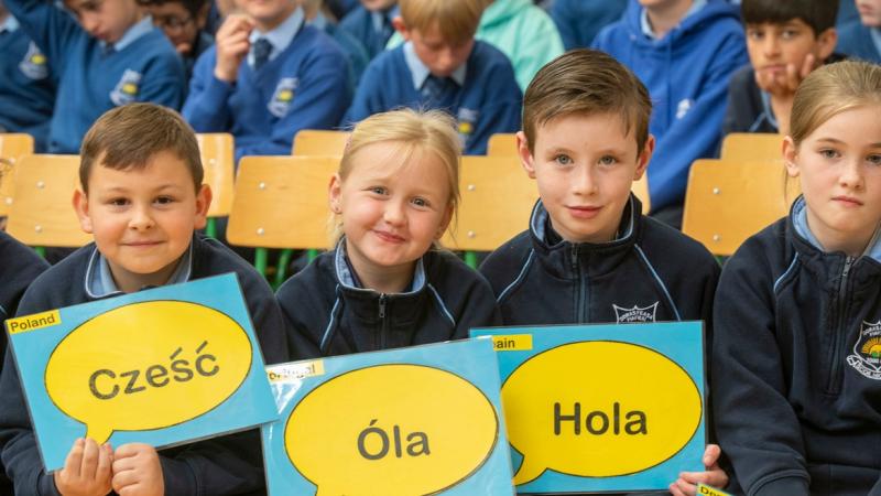Primary school teachers in Donegal, it’s time to register for the Blue Star Programme