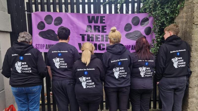 Justice for Animals