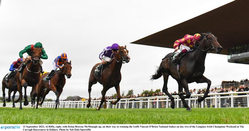 York punters are torn on Tipperary trained Troy as the big race approaches 