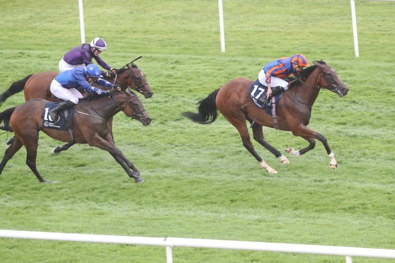 10/1 Ballydoyle double popular today at York after big wins yesterday 
