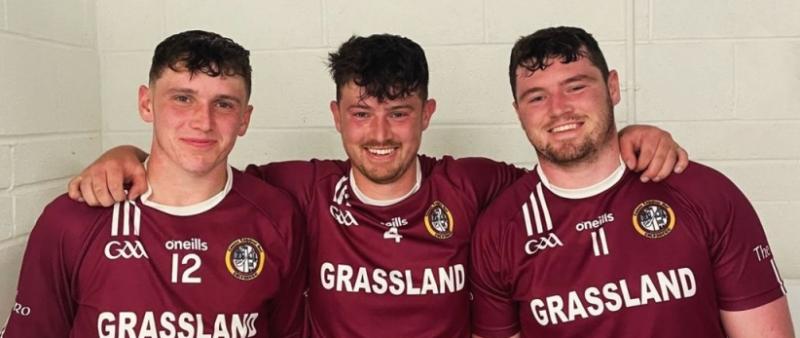 Dicksboro brothers break new ground in Kilkenny hurling 