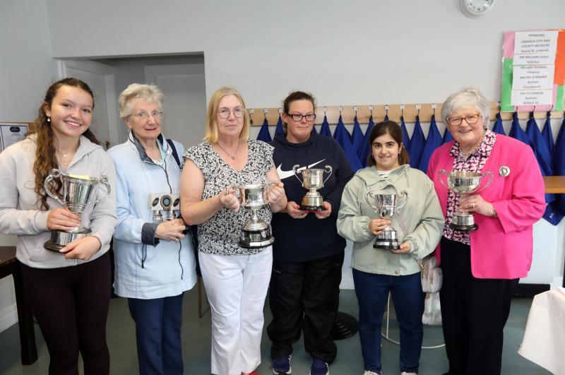 A record number of arts and crafts at Limerick Show this year