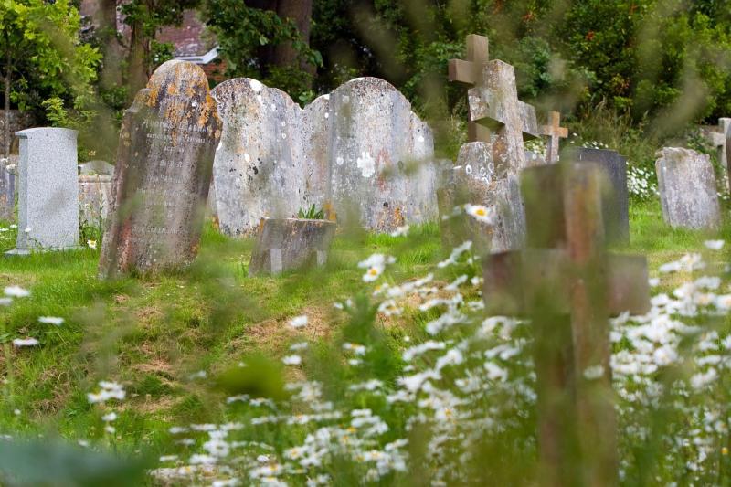 New study gives Kilkenny community 'grave' detail on their area 