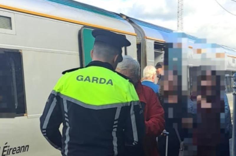 Kilkenny Gardaí called into action at local train station 