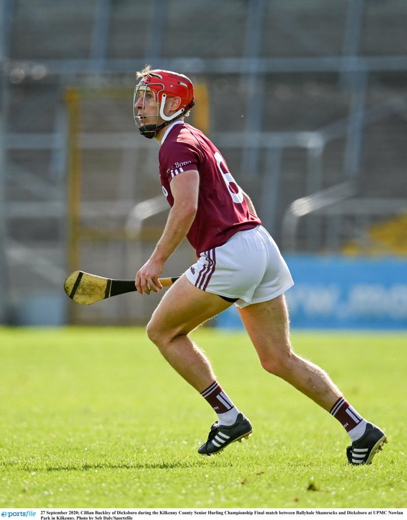 Kilkenny SHL- Dicksboro bounce back to assure senior safety