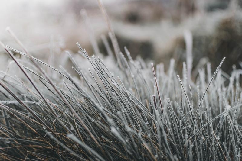 Drop in temperatures on the way according to the latest Met Éireann forecast 