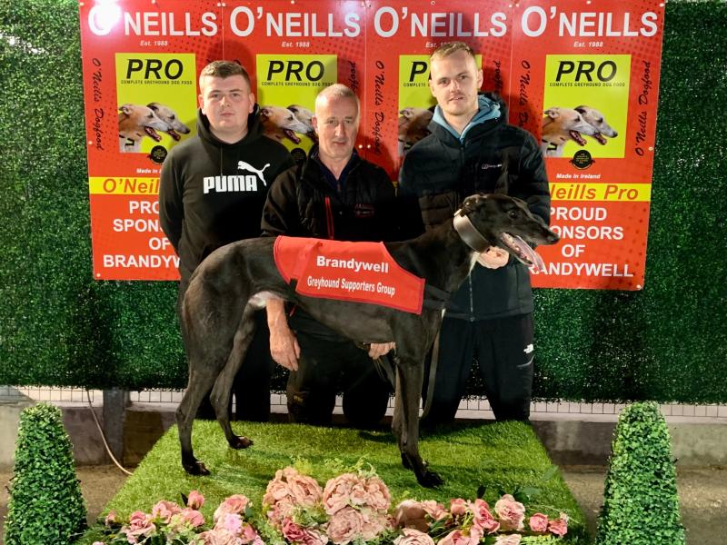 Marvel-lous Drumcrow fastest in Liam Melly Memorial at Brandywell